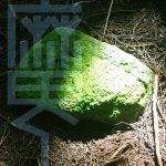 魔の虫(2)