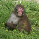 祖霊崇拝をしない宗教−キリスト教の場合
