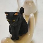 黒猫がハトに乗る。ぽっぽ号。