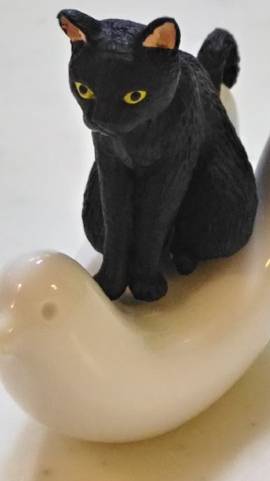 黒猫ハト