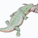 リストロサウルス〜リストロサウルスは恐竜の繁栄に貢献していたかもしれない