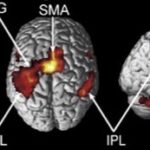 心・脳・機械（18）人の脳を覗く〜脳機能画像