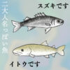 スズキさんが10名夜道を歩いており、足の合計は８本でした。さて魚のスズキさんは何名？　ぐっちーさんと話そう<84>