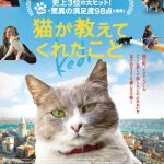 正月映画のお勧め2本。トルコ映画「猫が教えてくれたこと」とインド映画「バーフバリ　王の凱旋」