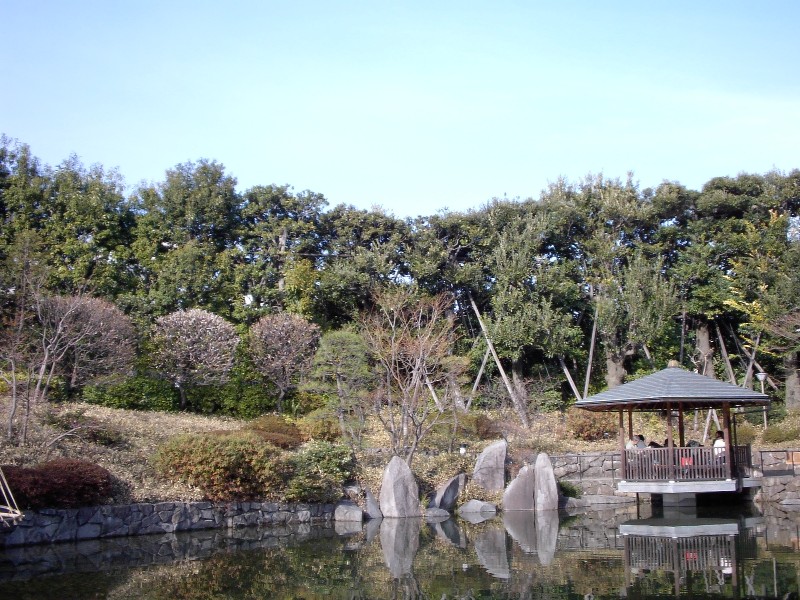 豊島区立の回遊式日本庭園