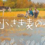 素晴らしきアジア映画。中国の「小さき麦の花」、韓国の「別れる決心」と「レイトオータム」