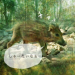 ぐっちーさんと話そう<37> イノシシ先輩に聞く!? ダイエットの悩みとサブスクビジネス