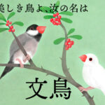 ジャワのスズメ　日本では雅な鳥・ブンチョウ　ぐっちーさんと話そう<49>