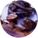 【 魔の目撃 】(11)