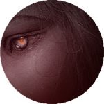 【 魔の帰巣人形 】(14)